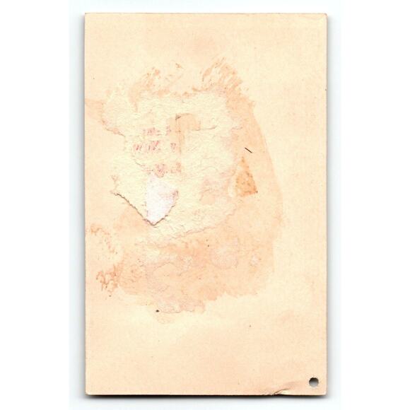 Cat Victorian Trade Card Wounded Striped Kitten In Bandage A.B. Seeley 1881 - Picture 2 of 2